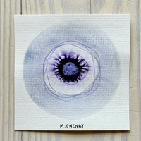 God’s Eye 75