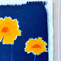 Summer Susans I