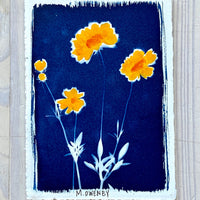 Summer Susans II