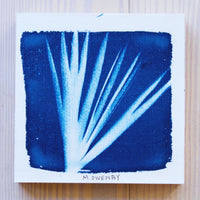 Station 19 - Michelle Owenby Design