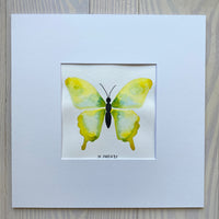 Butterfly Painting No. 5
