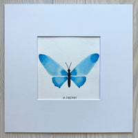 Butterfly Painting No. 6