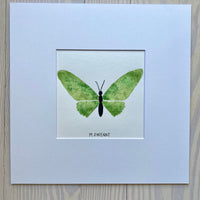 Butterfly Painting No. 16