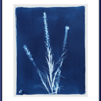 Liatras - Offered Exclusively by the Charleston Artist Collective