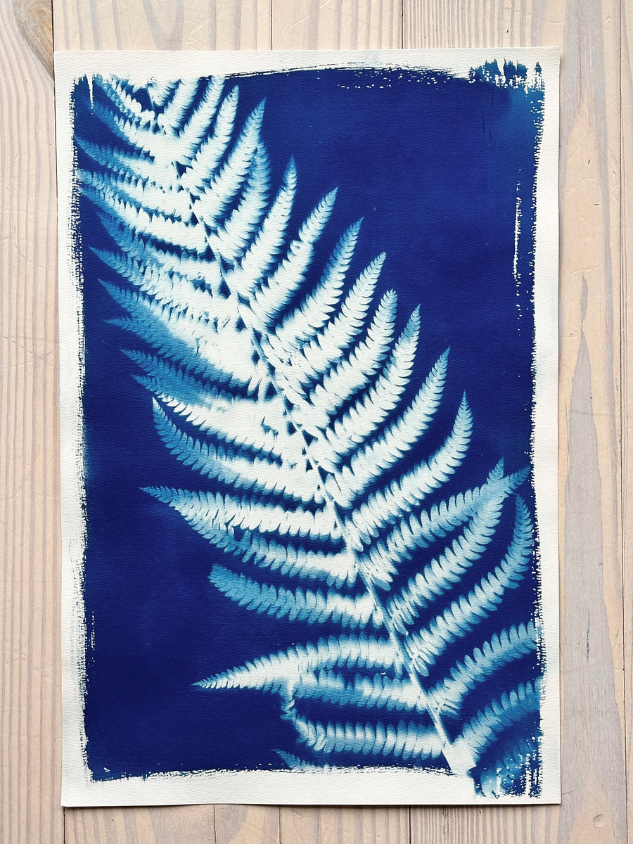 Ostrich Fern I