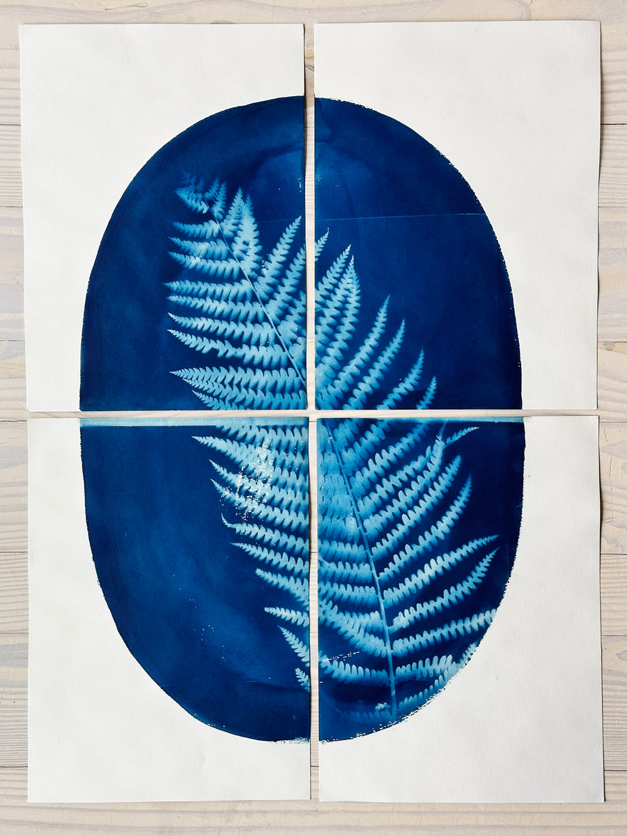 Fern Quadriptych I