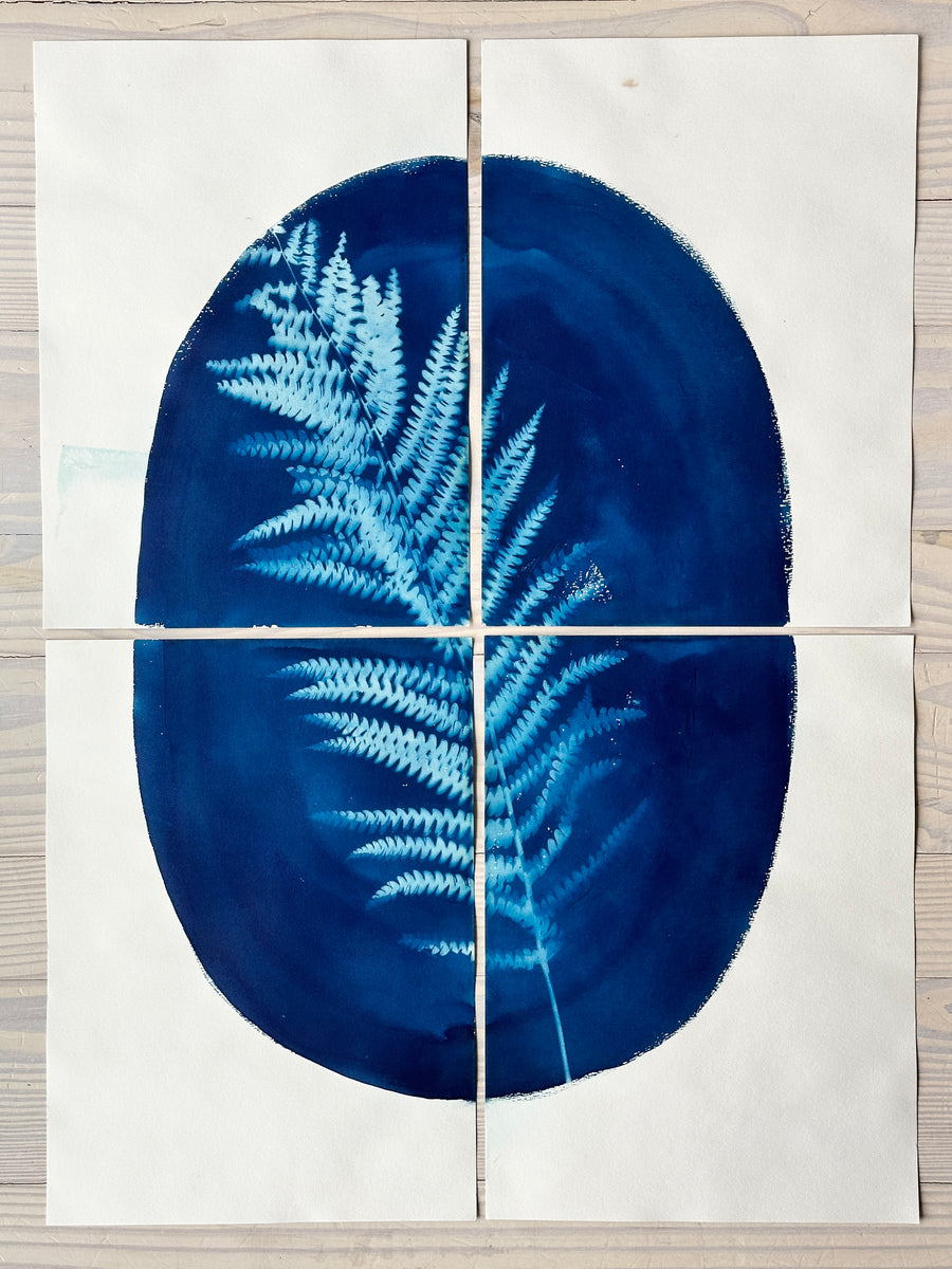 Fern Quadriptych II