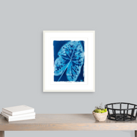 Caladium - Fine Art Print