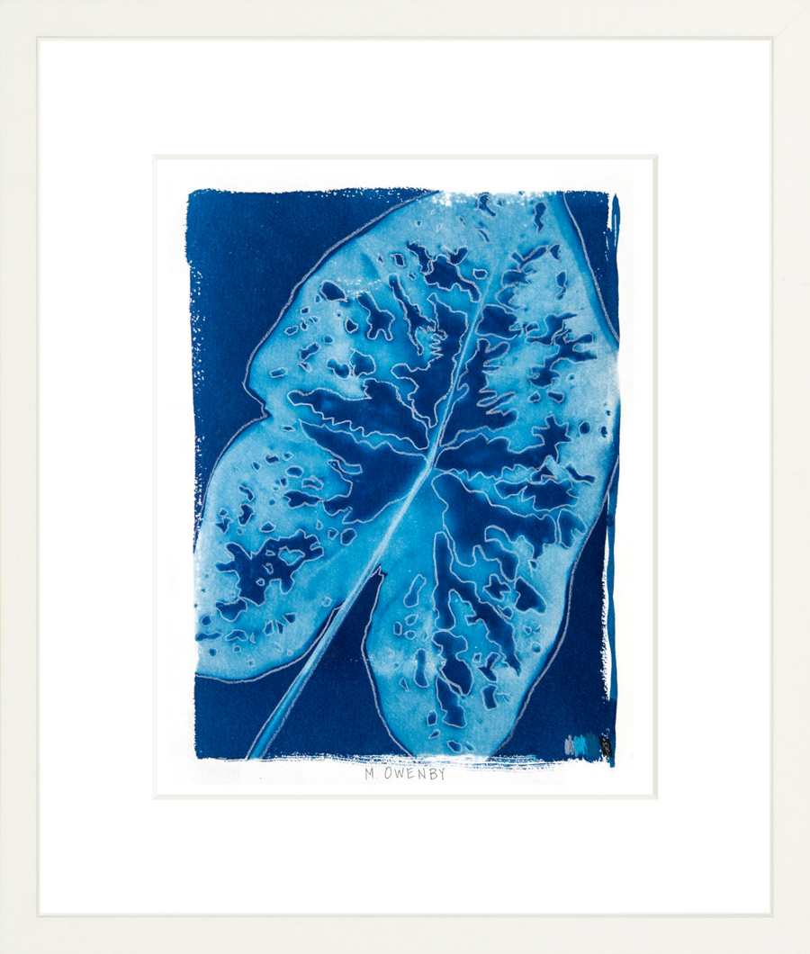 Caladium - Fine Art Print