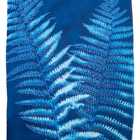 Ostrich Fern - Fine Art Print