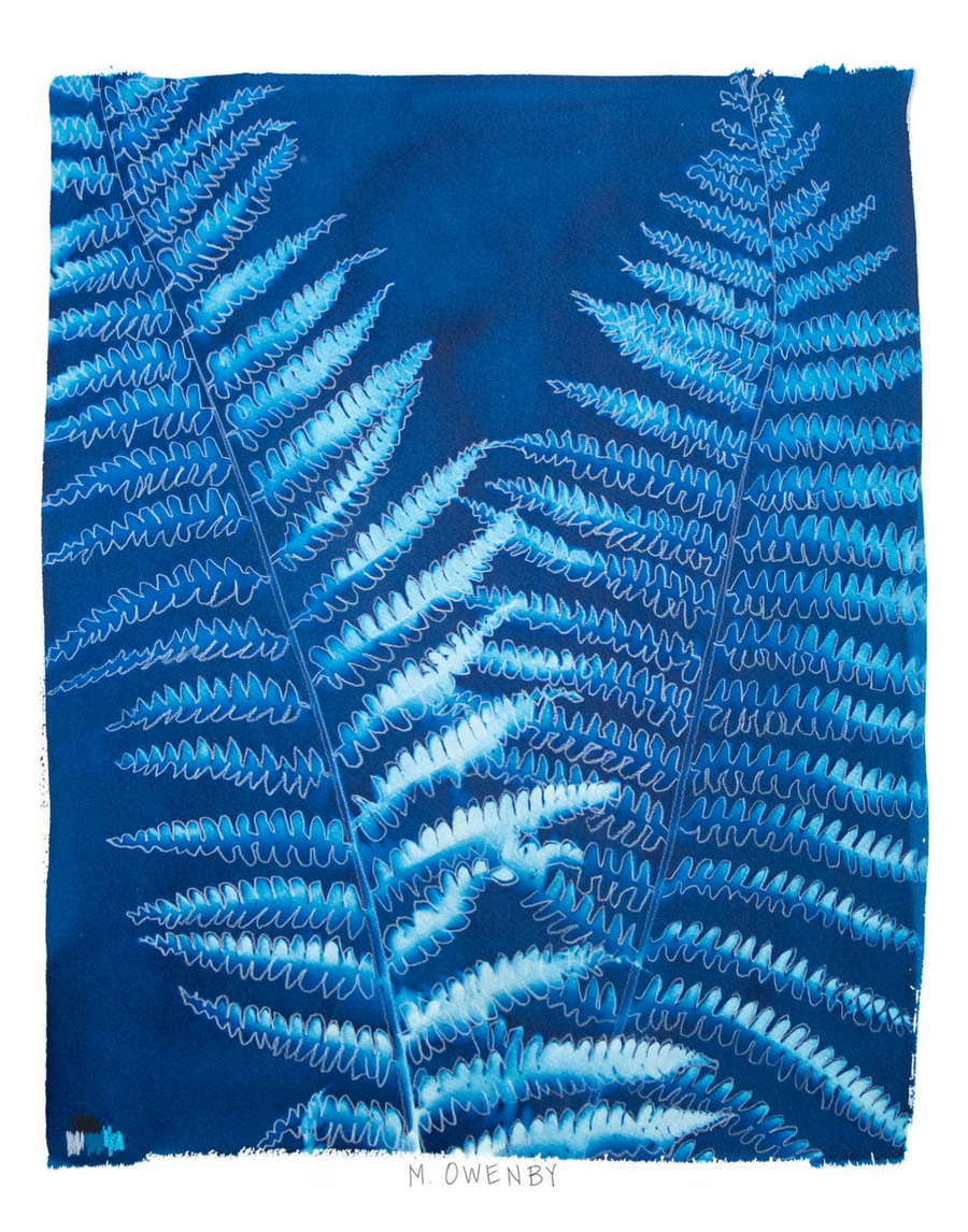 Ostrich Fern - Fine Art Print