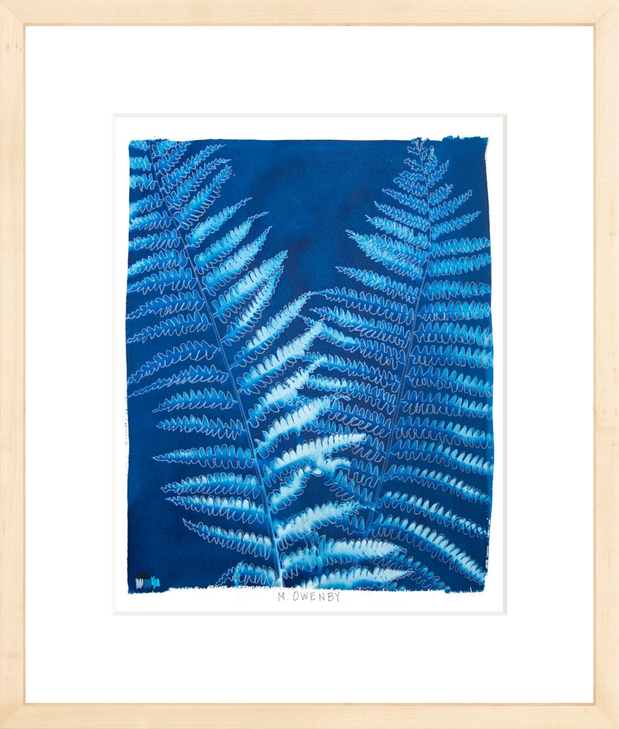 Ostrich Fern - Fine Art Print