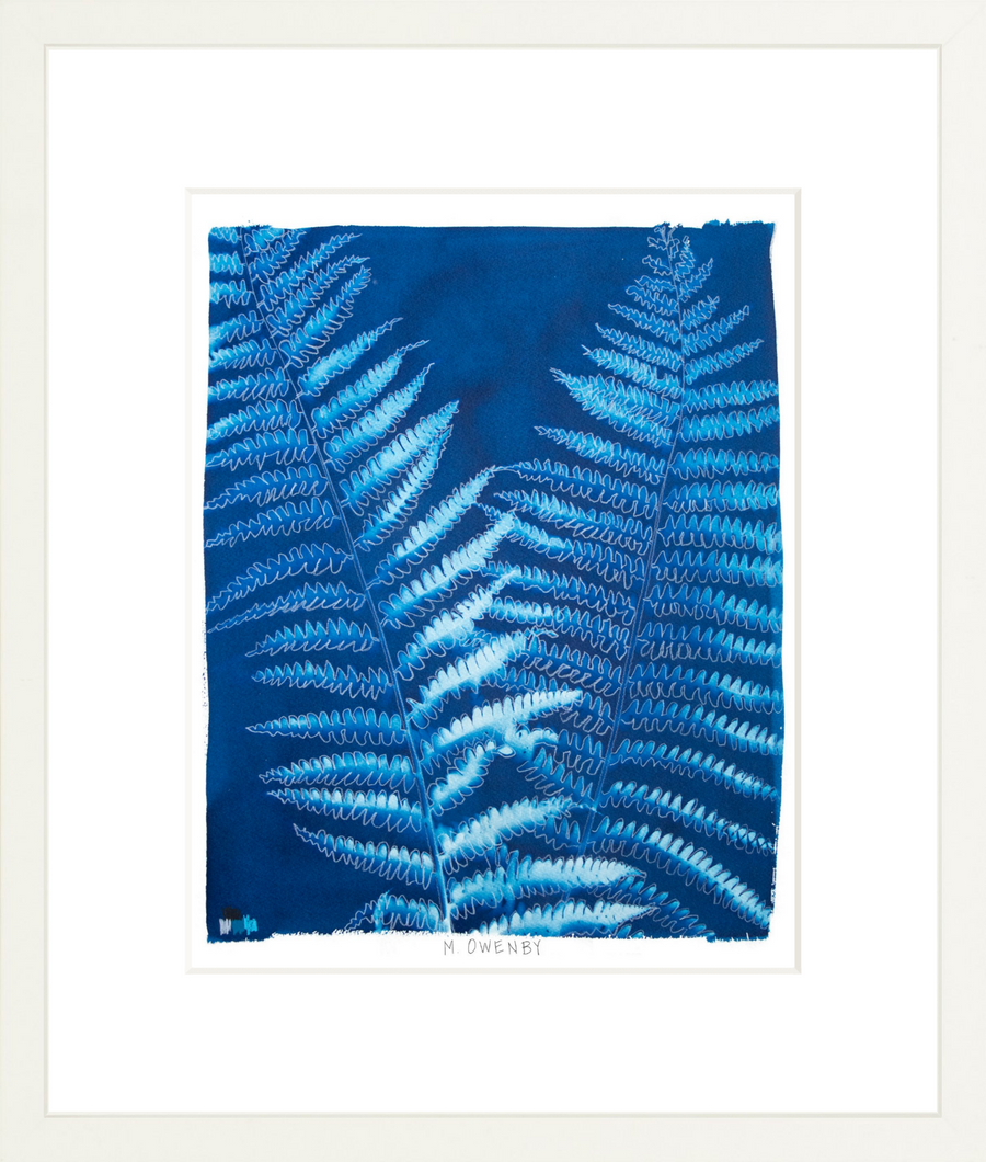 Ostrich Fern - Fine Art Print