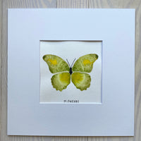 Butterfly Painting No. 21