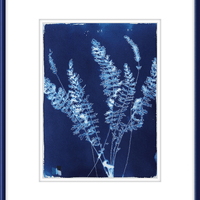 Fernleaf Yarrow - Offered Exclusively by Charleston Artist Collective