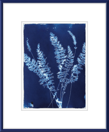 Fernleaf Yarrow - Offered Exclusively by Charleston Artist Collective