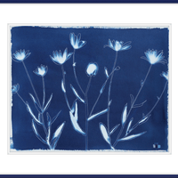 Shasta Daisies - Offered Exclusively by Charleston Artist Collective