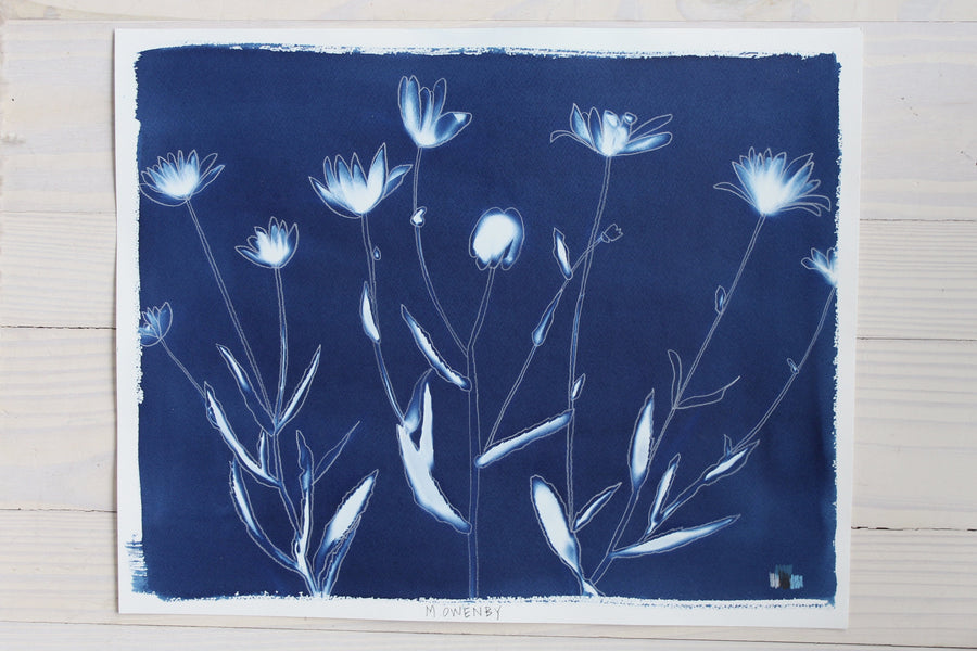 Shasta Daisies - Offered Exclusively by Charleston Artist Collective