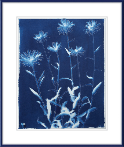 Shasta Daisies - Offered Exclusively by the Charleston Artist Collective